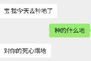 我命油我不油天，你的廚房去油了嗎？